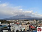 IMG_8255 (Copy)