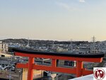 IMG_8259 (Copy)