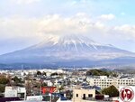 IMG_8263 (Copy)