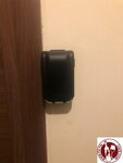 FPIB3187 (Copy)