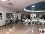 IMG_7978 (Copy)
