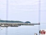 IMG_8025- (Copy)