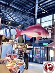 IMG_7908- (Copy)