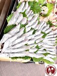 IMG_7913- (Copy)