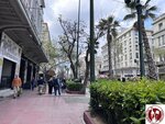 IMG_5256 (Copy)