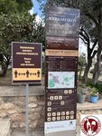 IMG_5324 (Copy)