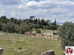 IMG_5158 (Copy)