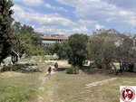 IMG_5159 (Copy)