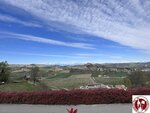 IMG_5863 (Copy)