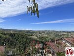 IMG_5870 (Copy)