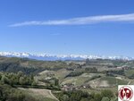 IMG_5872 (Copy)