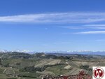 IMG_5873 (Copy)
