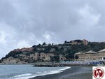 IMG_5597 (Copy)