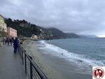IMG_5555 (Copy)