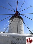 IMG_4824 (Copy)