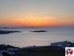 IMG_4910 (Copy)