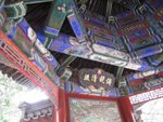 IMG_9506