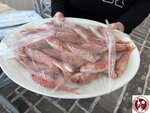 IMG_4675 (Copy)