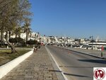 IMG_4542 (Copy)