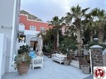 IMG_3582 (Copy)