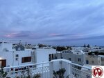 IMG_3589 (Copy)