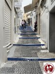 IMG_4056 (Copy)