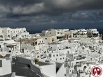 IMG_4339 (Copy)