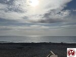IMG_3627 (Copy)