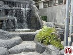 IMG_3688 (Copy)