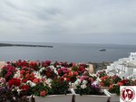 IMG_3813 (Copy)