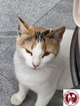 IMG_3823 (Copy)