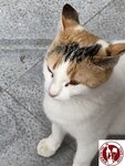 IMG_3825 (Copy)