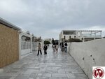 IMG_3870 (Copy)