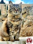 9bd19051-1995-40a0-bb09-f1164a3cf37b (Copy)