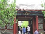 IMG_9520