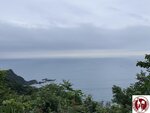 IMG_0288 (Copy)