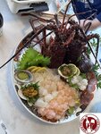 IMG_0566- (Copy)