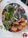IMG_0567 (Copy)