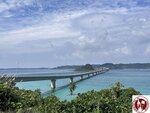 IMG_6867 (Copy)