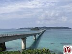 IMG_6876 (Copy)