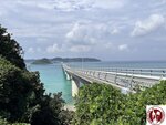 IMG_6882 (Copy)