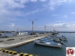 IMG_6901 (Copy)
