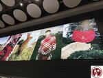 IMG_4913 (Copy)