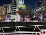 IMG_6264 (Copy)