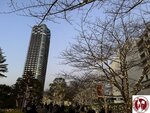 IMG_4929 (Copy)