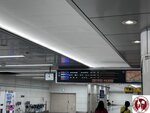 IMG_4173 (Copy)
