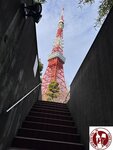 IMG_5473 (Copy)