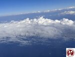 IMG_8596 (Copy)