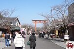 DSC08280 (Copy)