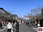 IMG_9153 (Copy)